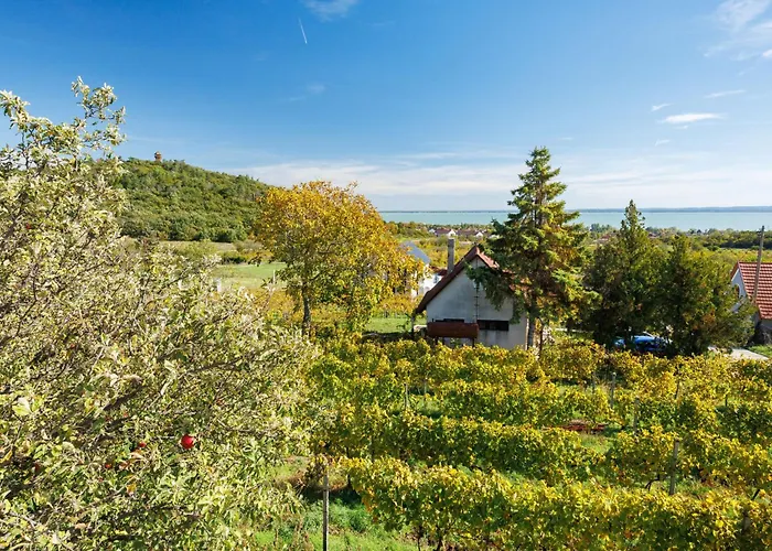 Case de vacanță Dul By Interhome